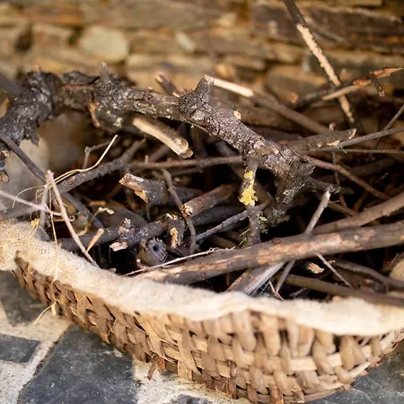 Country house Cavalo De Xisto - Turismo Rural, Lda.